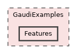 GaudiExamples/Features